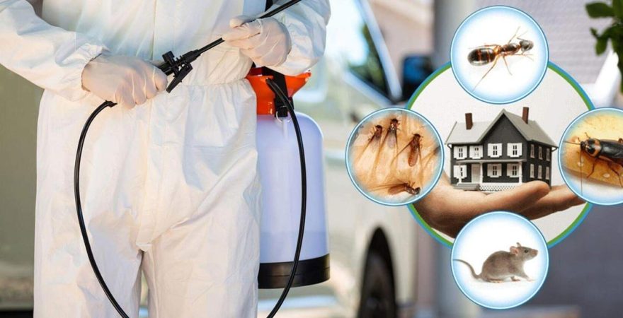 Mustafakemalpaşa Böcek İlaçlama