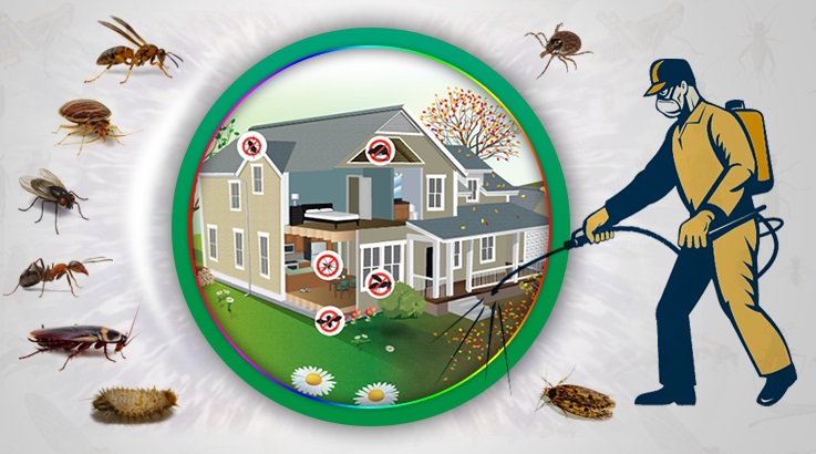 Mustafakemalpaşa Böcek İlaçlama