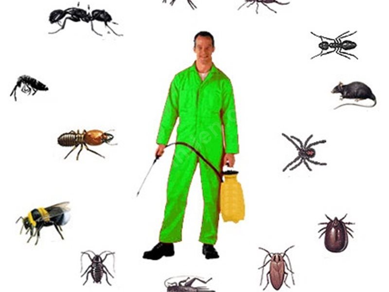 Mustafakemalpaşa Böcek İlaçlama